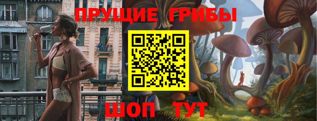 Баксан  Псилоцибиновые грибы мицелий  Вход с VPN 
